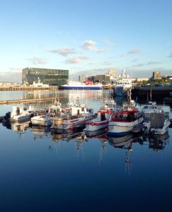harbor1